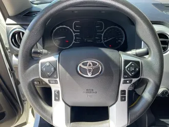 Tundra 44