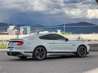 Mustang 7