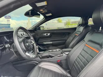 Mustang 9