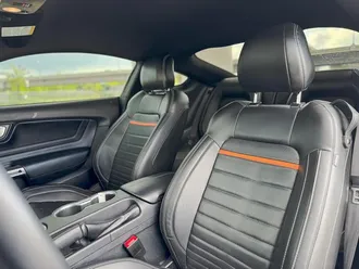 Mustang 10