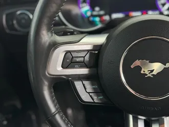 Mustang 17