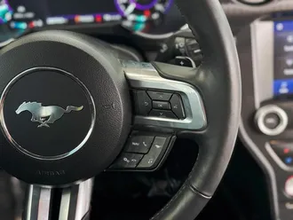 Mustang 18