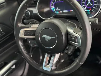 Mustang 19