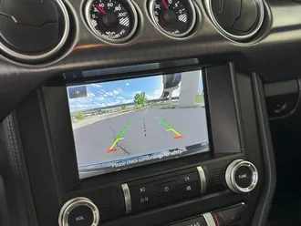 Mustang 21
