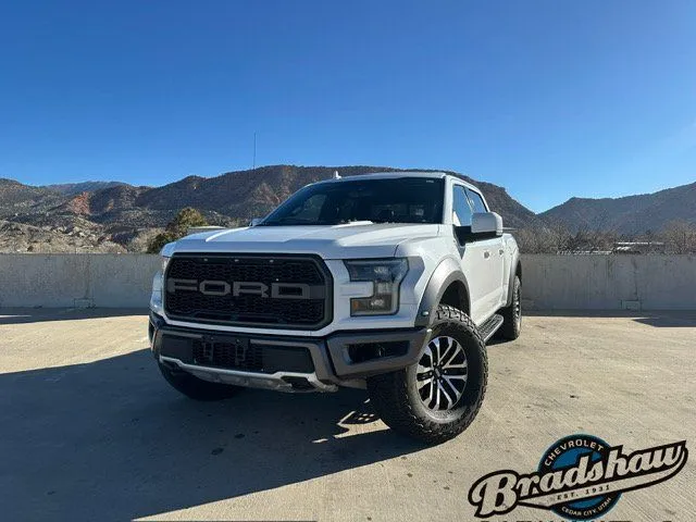2019 Ford F-150 Raptor