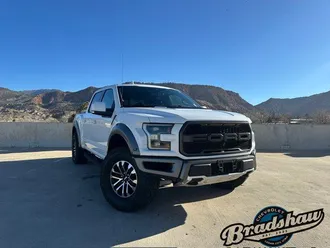2019 Ford F-150 photo 2