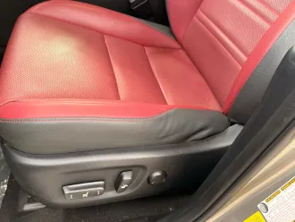 NX 350 19