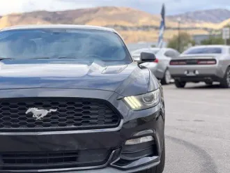 Mustang 3