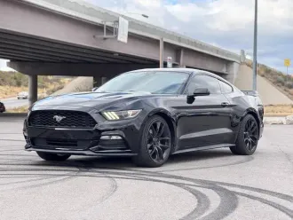 Mustang 4