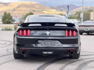 Mustang 6