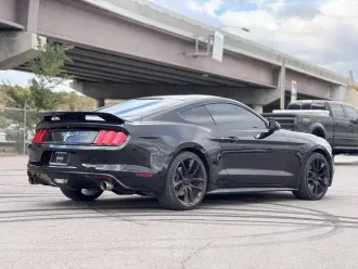 Mustang 7