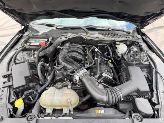 Mustang 9