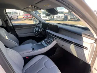 Palisade 30