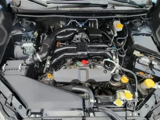Crosstrek 21