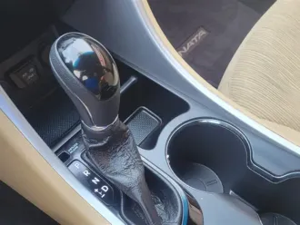 Sonata 13