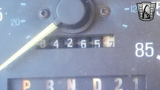 Bronco 19