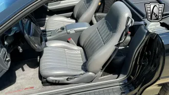 Camaro 19