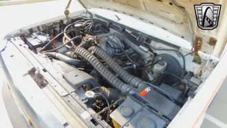 Bronco 15