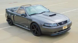 Mustang 11
