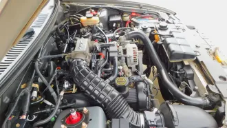 Mustang 14