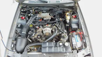 Mustang 16