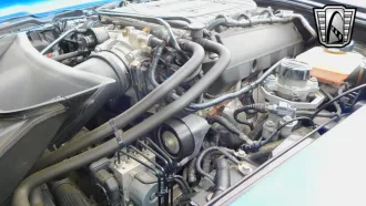 Corvette 19