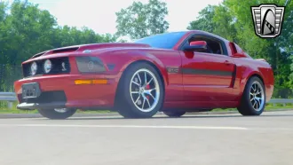 Mustang 3