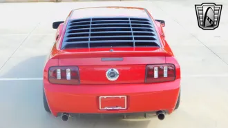 Mustang 6