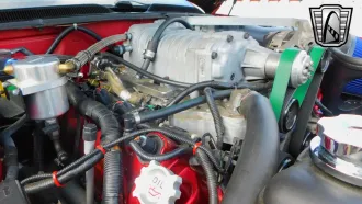 Mustang 14