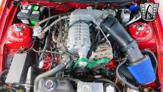 Mustang 15