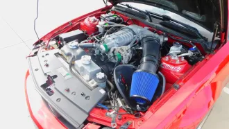 Mustang 16
