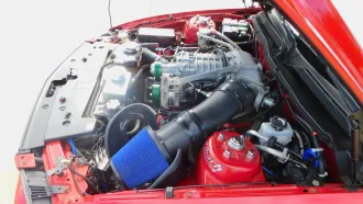 Mustang 18