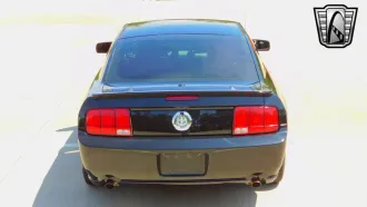 Mustang 6