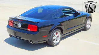 Mustang 7