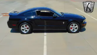 Mustang 8