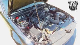Mustang 13