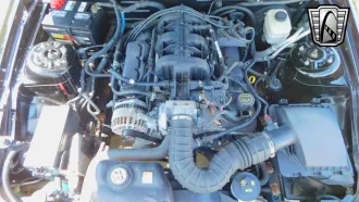 Mustang 15