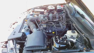 Mustang 16