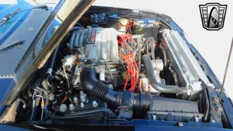 Mustang 12