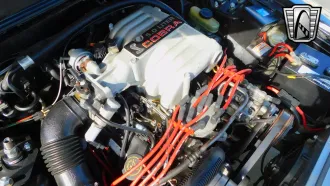 Mustang 14
