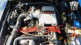 Mustang 15