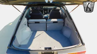 Mustang 25