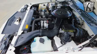 Camaro 14