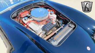 Mustang 17