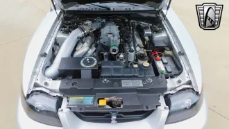 Mustang 14
