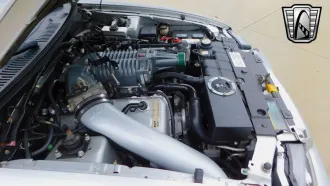 Mustang 15