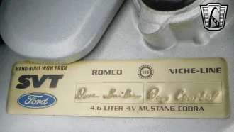 Mustang 18
