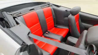 Mustang 25