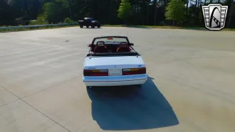Mustang 4