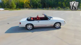 Mustang 5